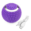 Electric Massage Ball